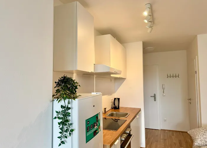 Danube With Balcony & Free Parking Viena